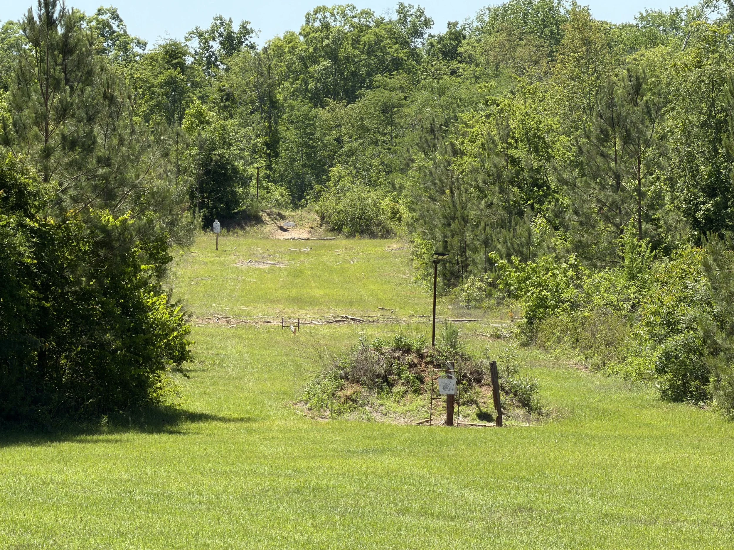 A grassy area with small shrubs and trees leading into a forested hillside with dense green trees under a clear blue sky.