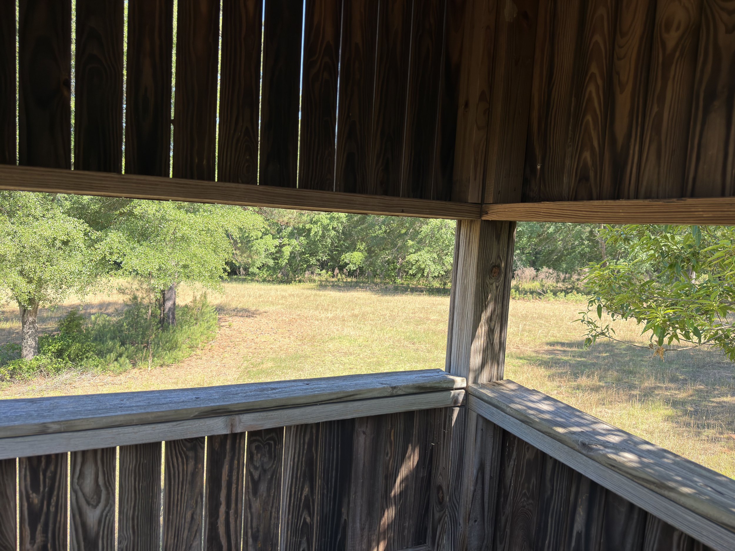 View from a wooden gazebo overlooking a grassy field with trees and blue sky in the background.