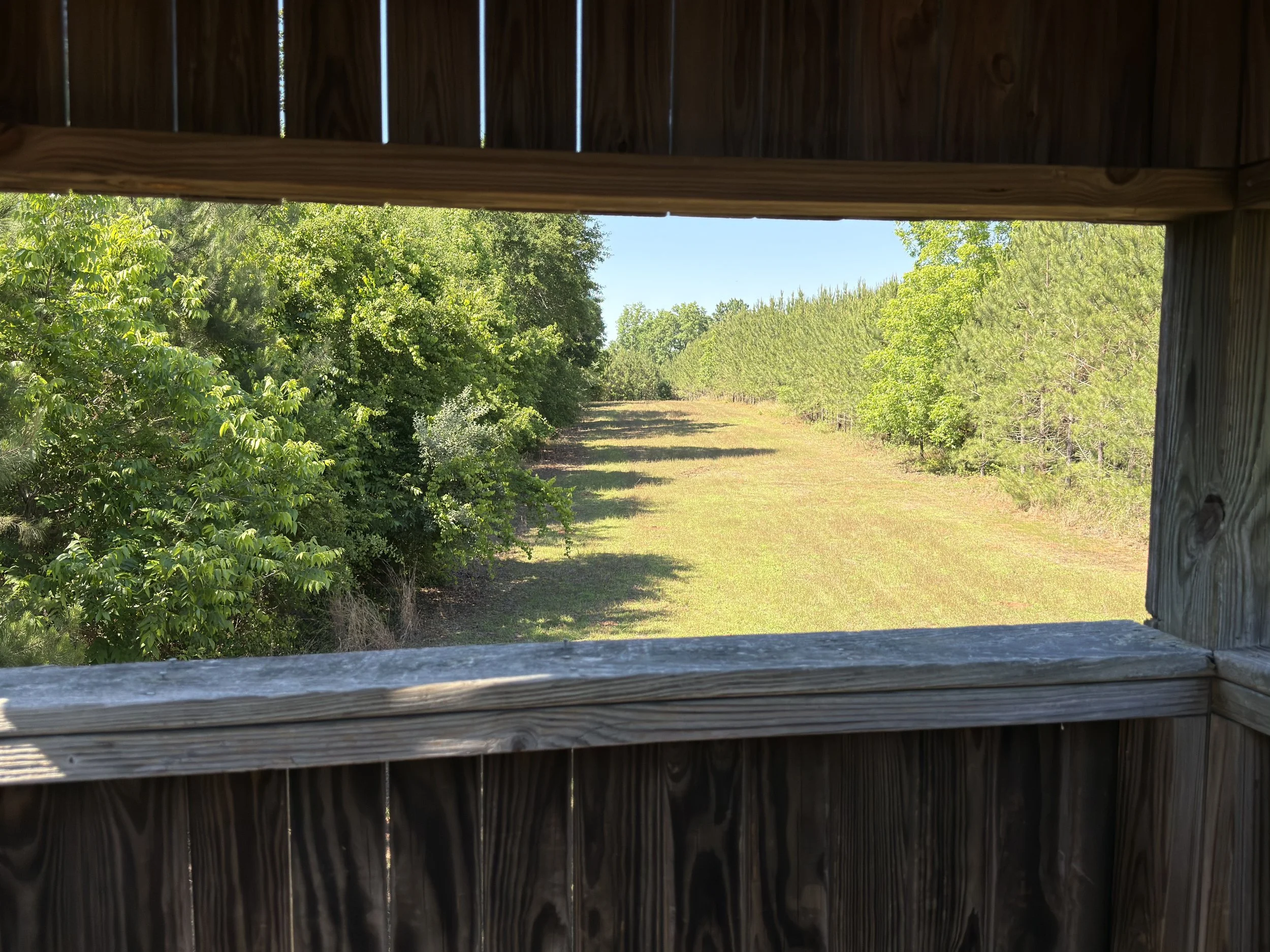 View of a dirt path surrounded by lush green trees and bushes, seen through a wooden structure with vertical planks.
