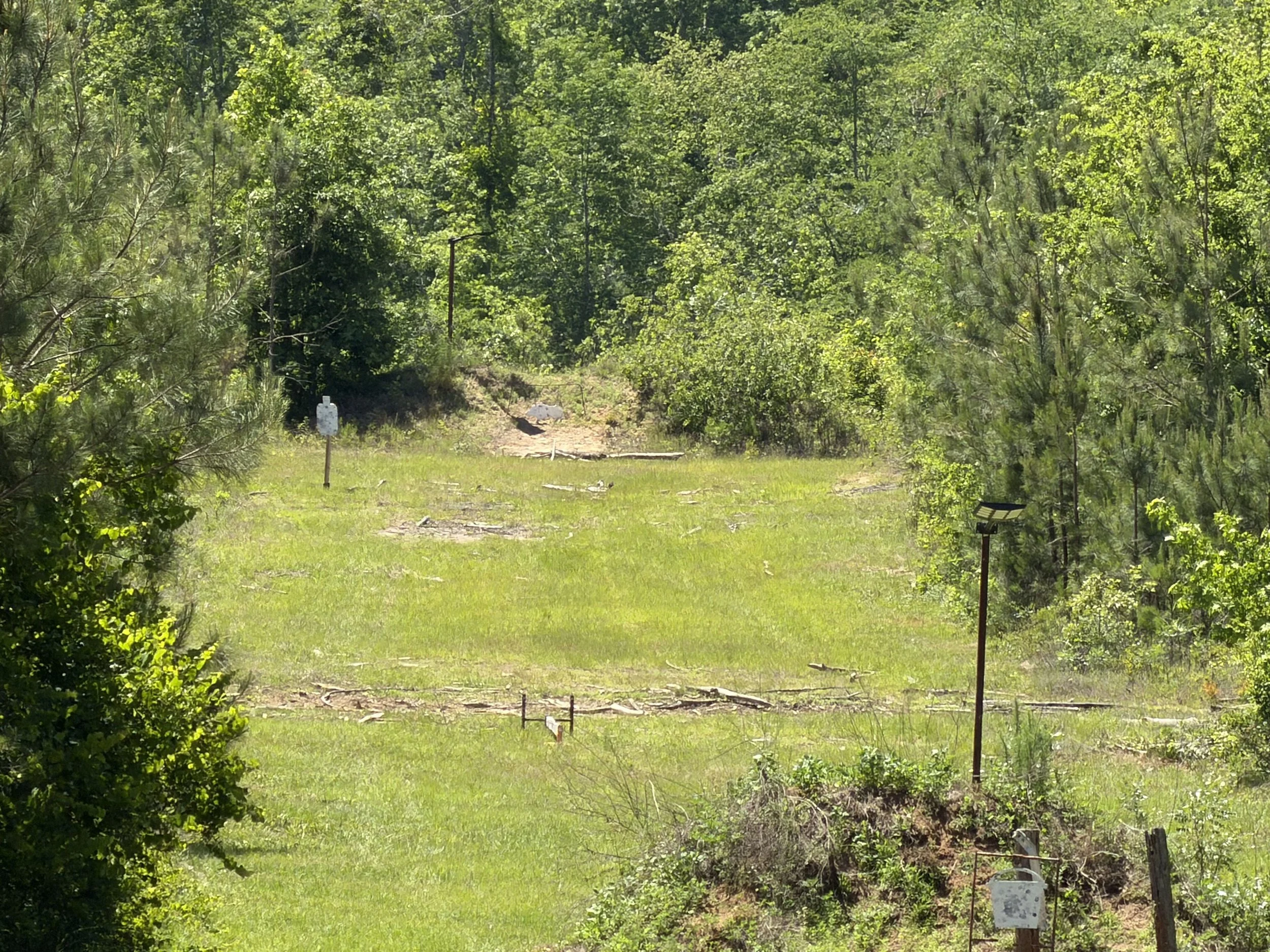 A lush green forest with a small clearing and a dirt path. There are two mailboxes at the front on the right side, one white with black writing and one gray.