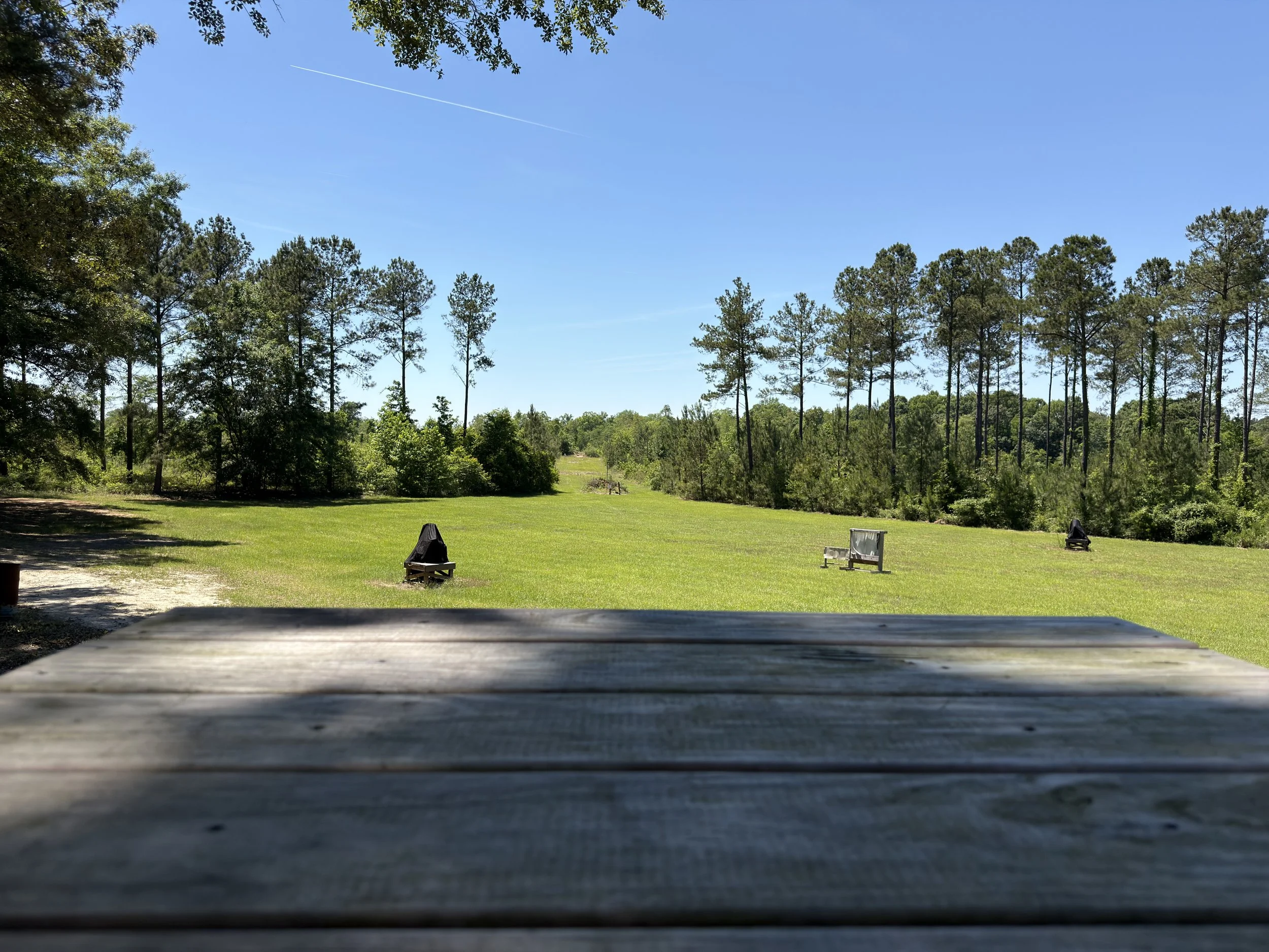 A view from a wooden picnic table overlooking a grassy area with trees in the background under a clear blue sky.