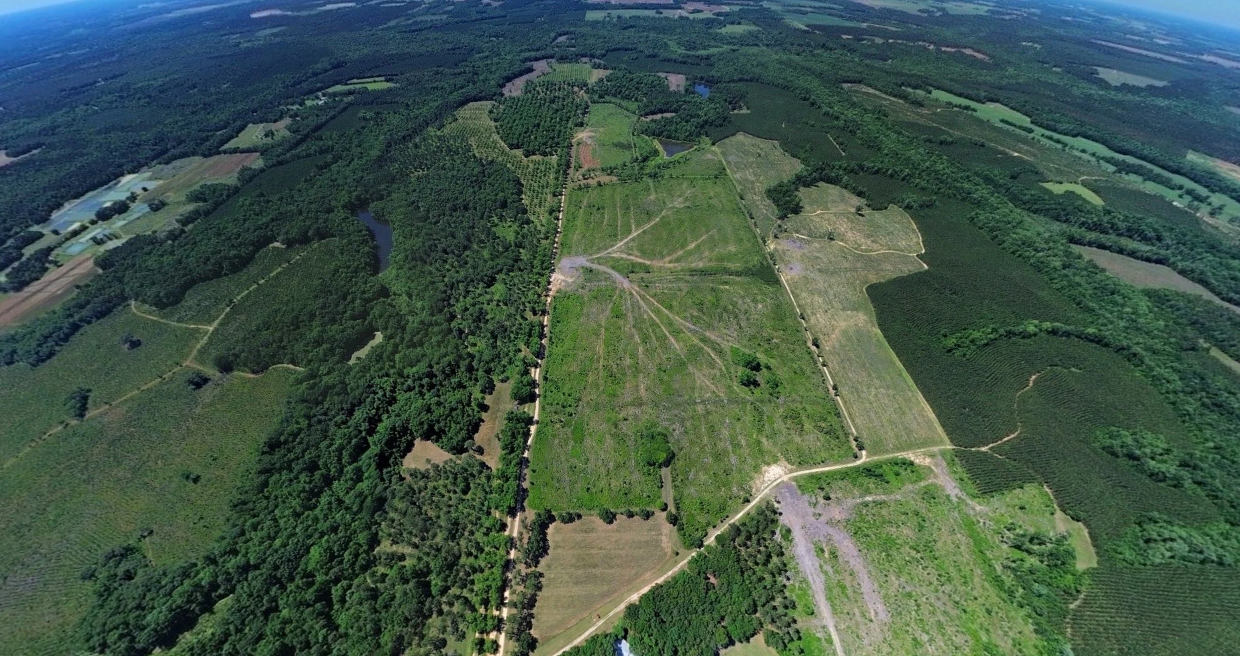 Aerial view of green farmland and forests with roads and small water bodies.