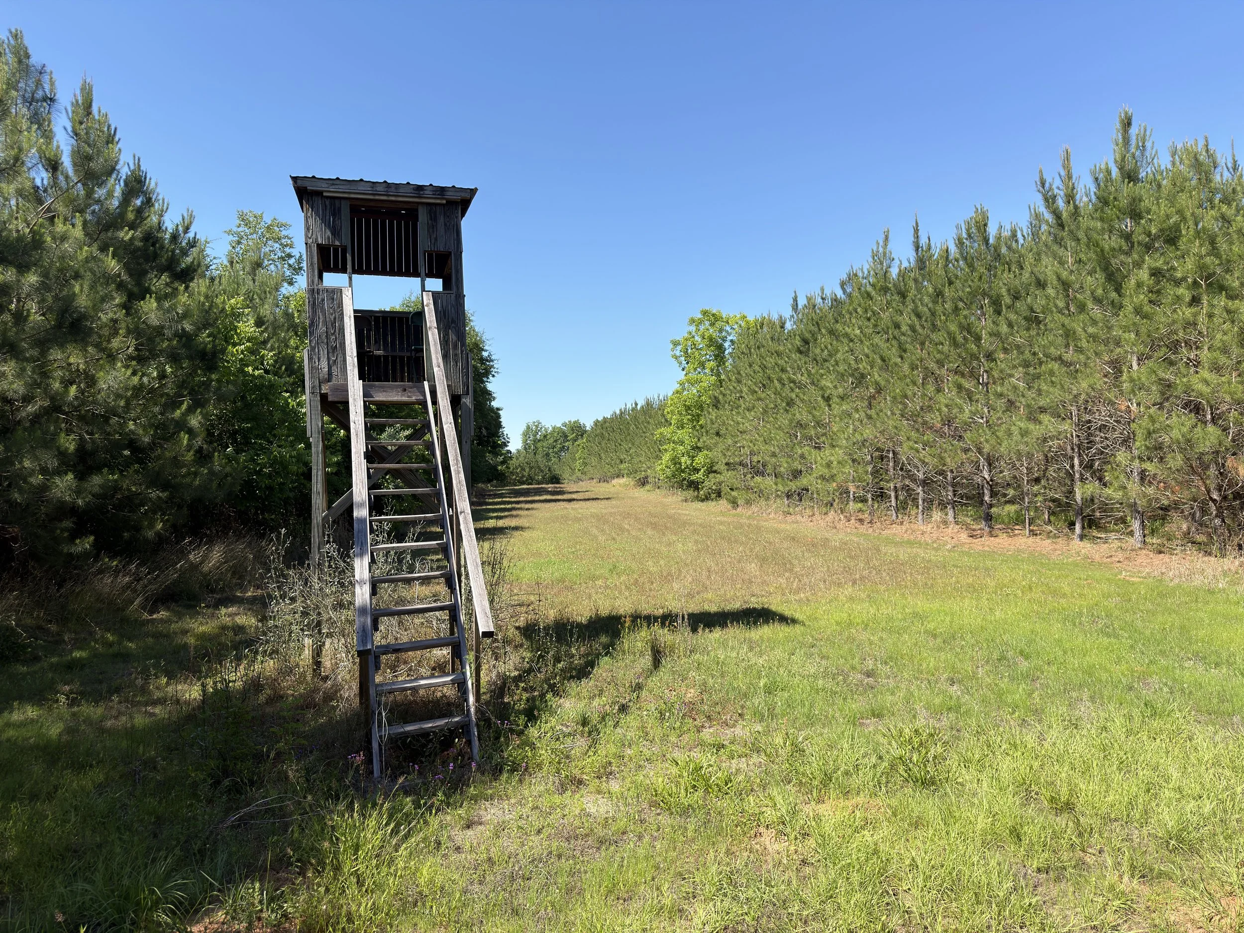 A tall wooden hunting lookout stand situated on a grassy field, surrounded by trees under a clear blue sky.