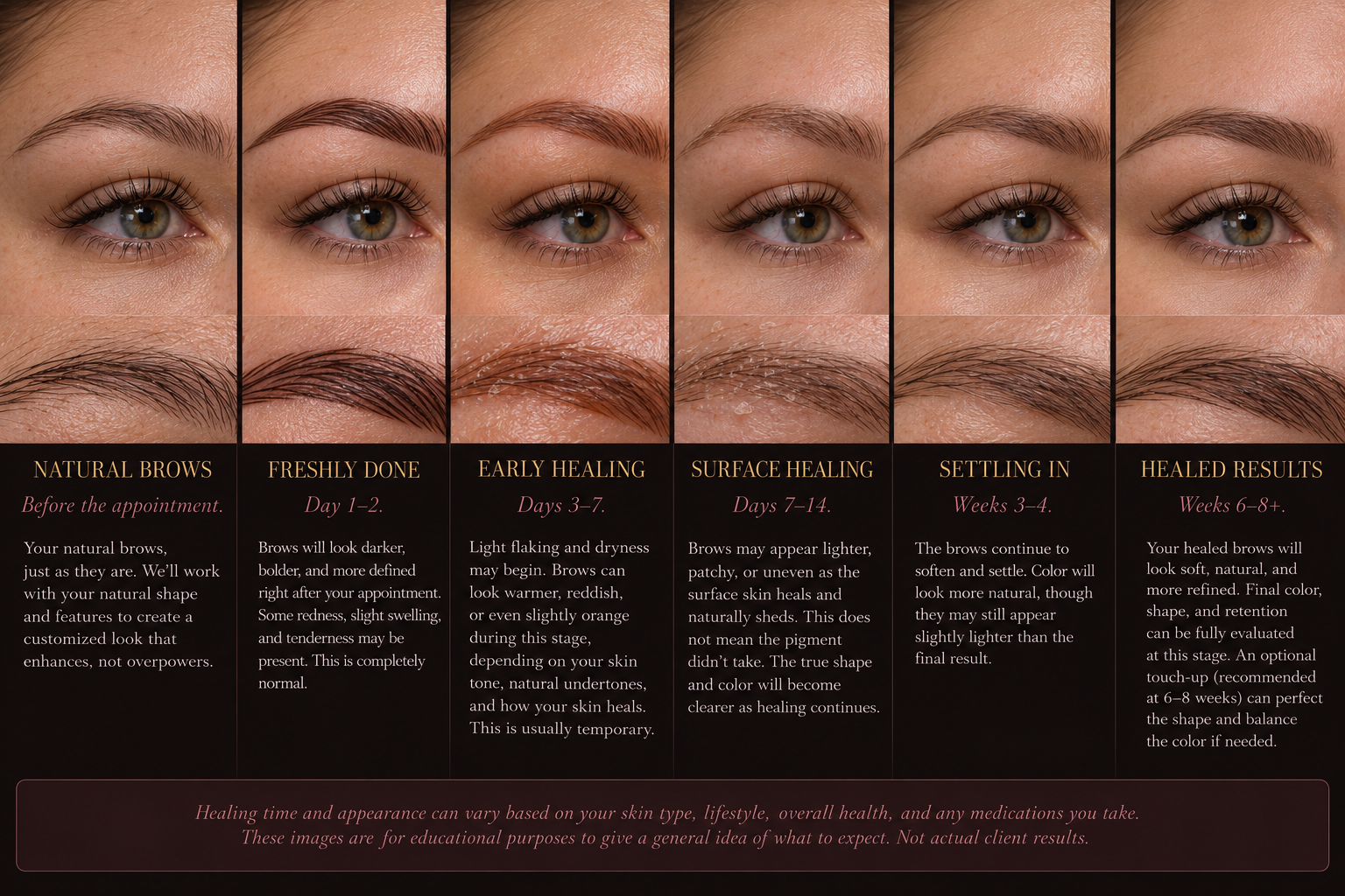 A graphic showing six stages of eyebrow healing and development, with descriptions underneath each stage titled: Natural Brows, Freshly Done, Early Healing, Surface Healing, Settling In, and Healed Results.