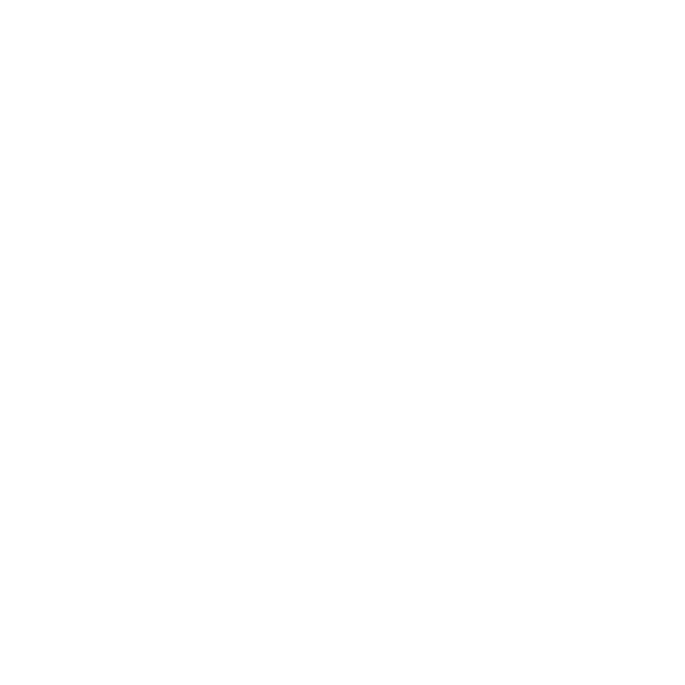SMART Local 100 logo