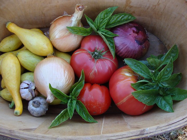 Assorted fresh vegetables including yellow squash, onions, garlic, tomatoes, and basil in a basket.