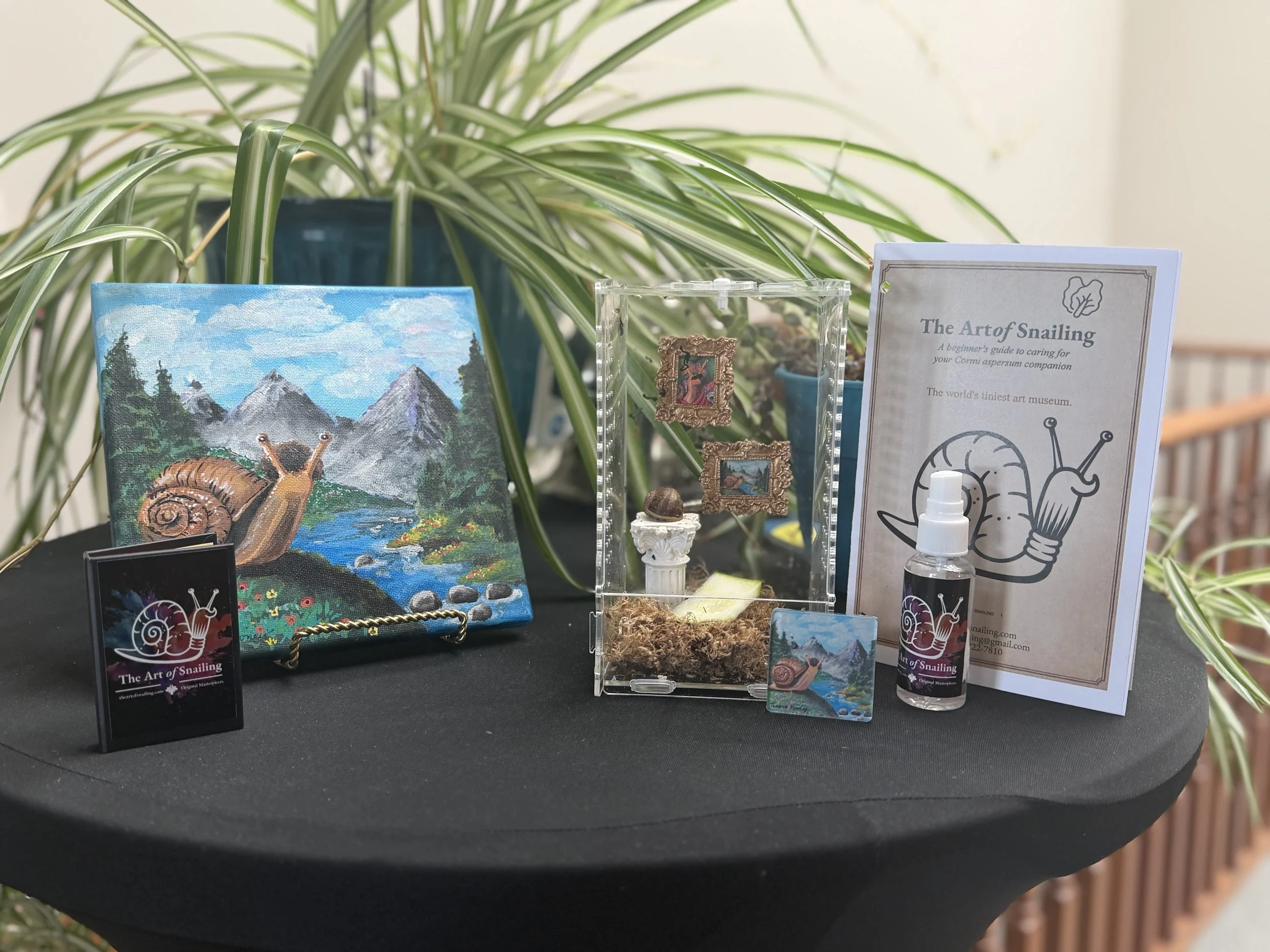 Happy Little Snail Collection