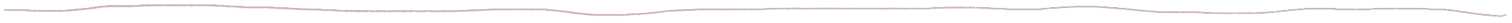 A black and white image with a horizontal red line near the top.