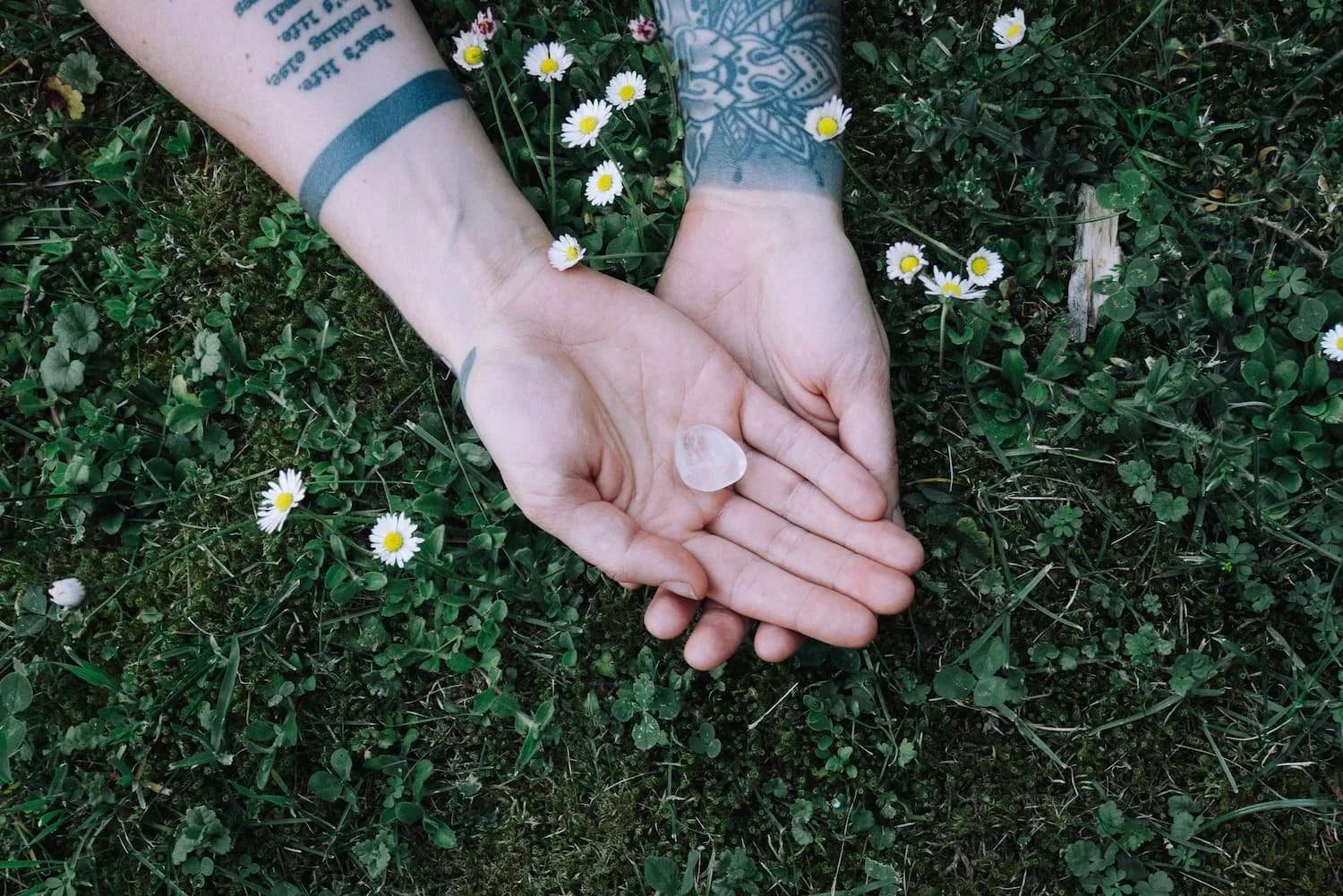 Hände mit Tattoos halten einen kleinen, runden Kristall auf einer Wiese mit kleinen weißen Blumen.