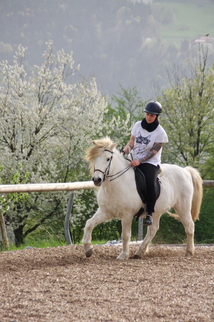Junge Frau reitet auf einem weißen Pferd auf einem Reitplatz, im Hintergrund blühende Bäume und hügelige Landschaft.