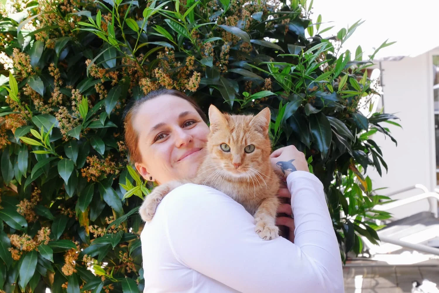 Eine lachende Frau hält eine orange Katze vor einem grünen Busch mit kleinen gelben Blüten