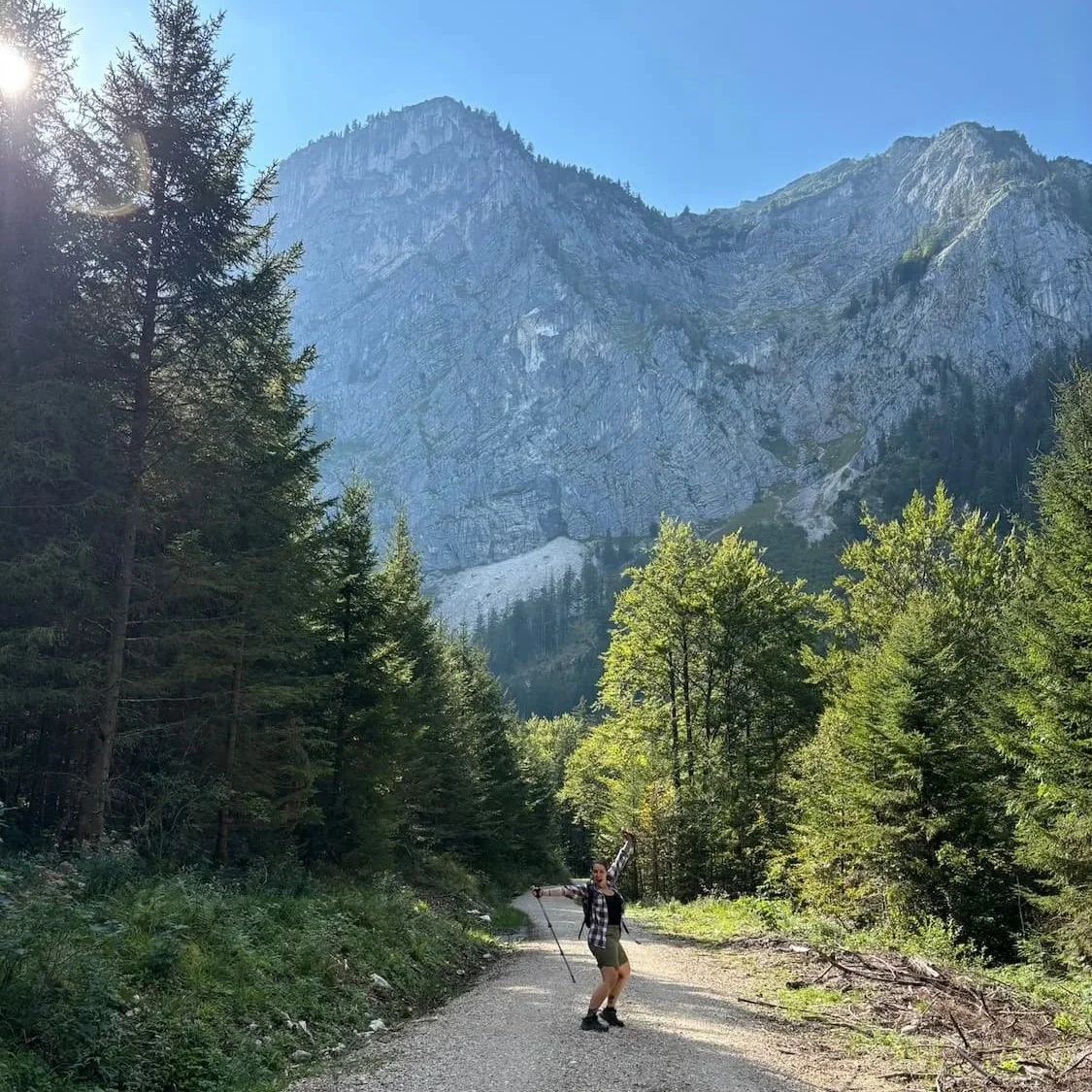 Eine Person wandert auf einem Weg in einem Wald mit hohen Bäumen, vor einem Berg mit steilen Felsen, bei sonnigem Wetter.