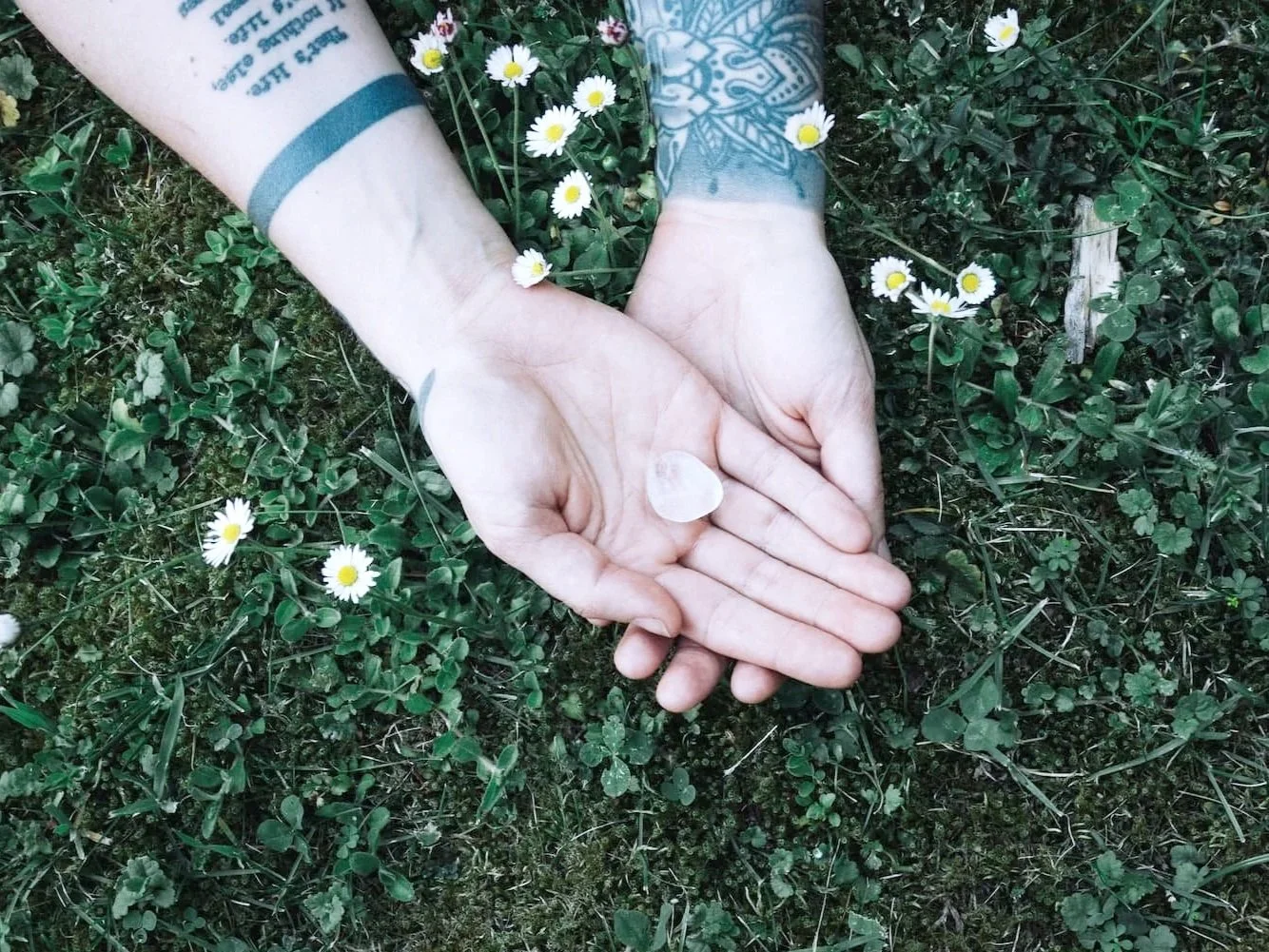 Zwei Hände mit Tattoos, eine hält einen kleinen transparenten Herzanhänger, liegen auf Gras mit kleinen weißen Gänseblümchen.