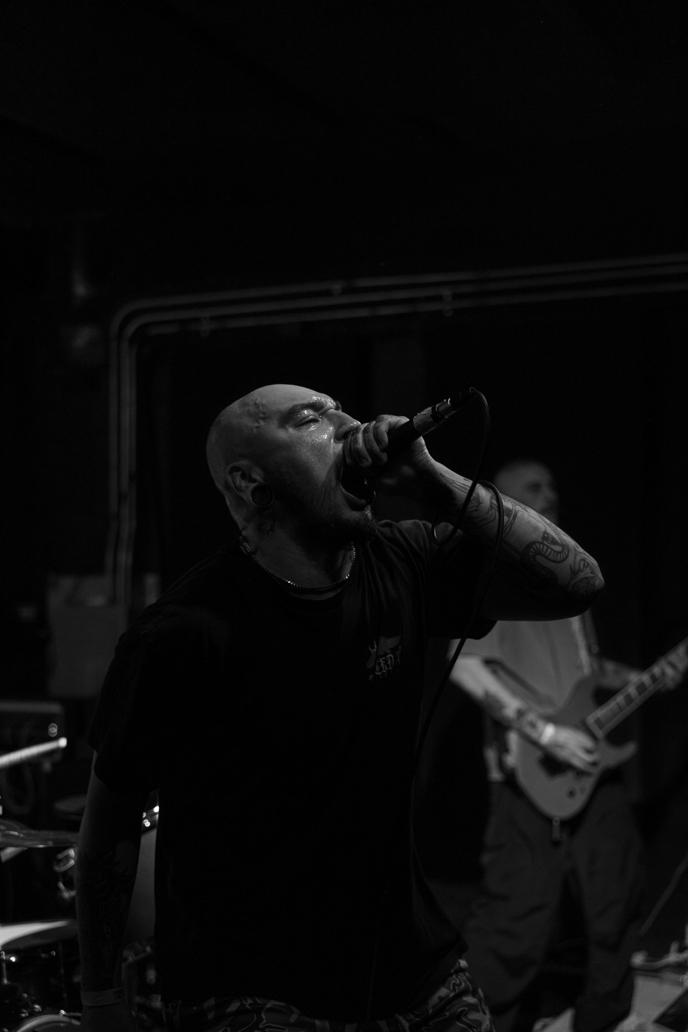 141A2242.jpg
