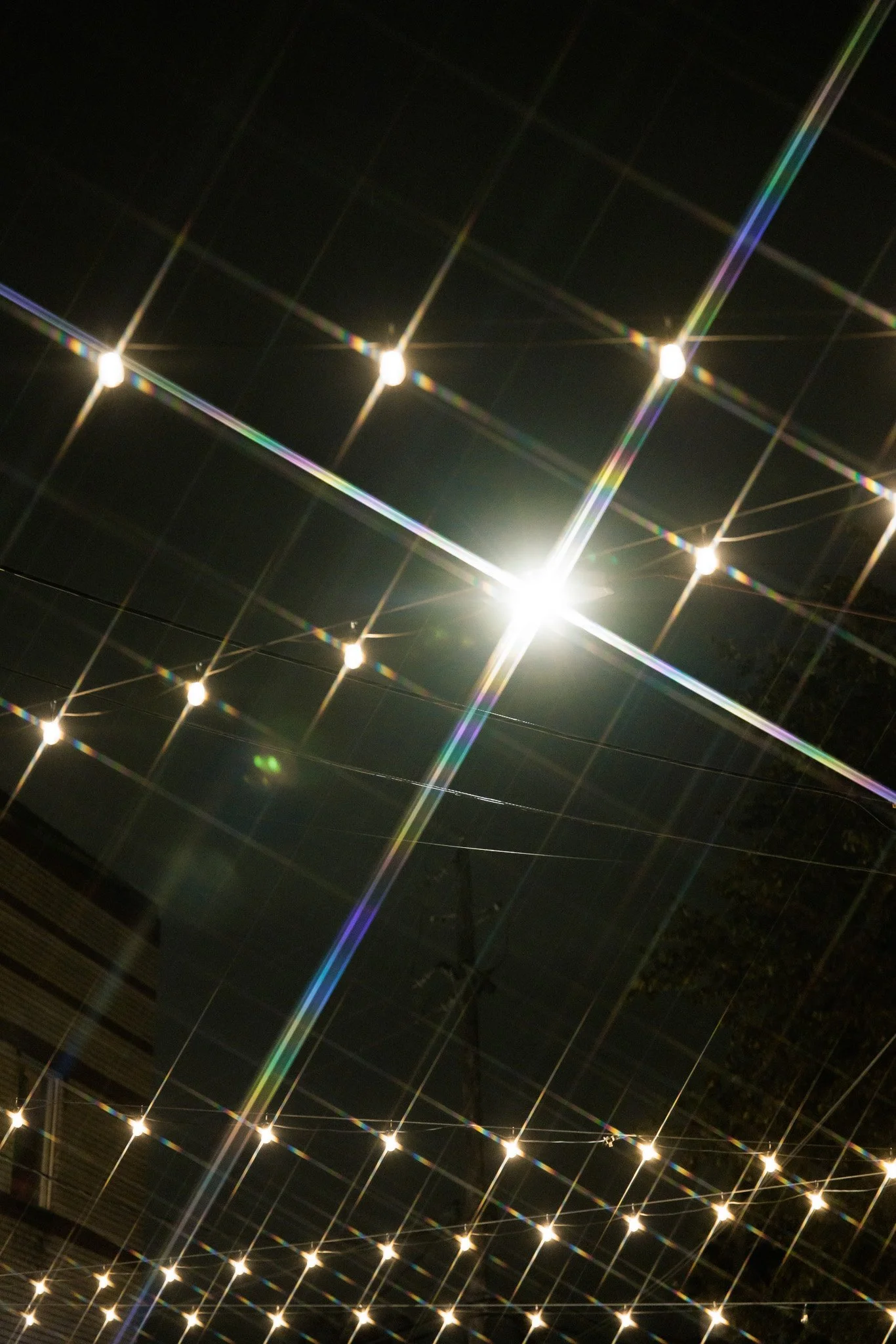 141A6158.jpg