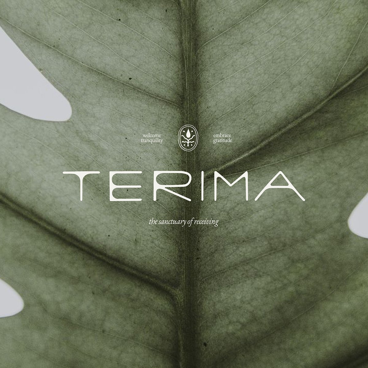 Close-up of a green leaf with the word 'TERIMA' and the phrase 'the sanctuary of receiving' overlaid. Small text reads 'welcome tranquility' and 'embrace gratitude', with a decorative emblem in the center.