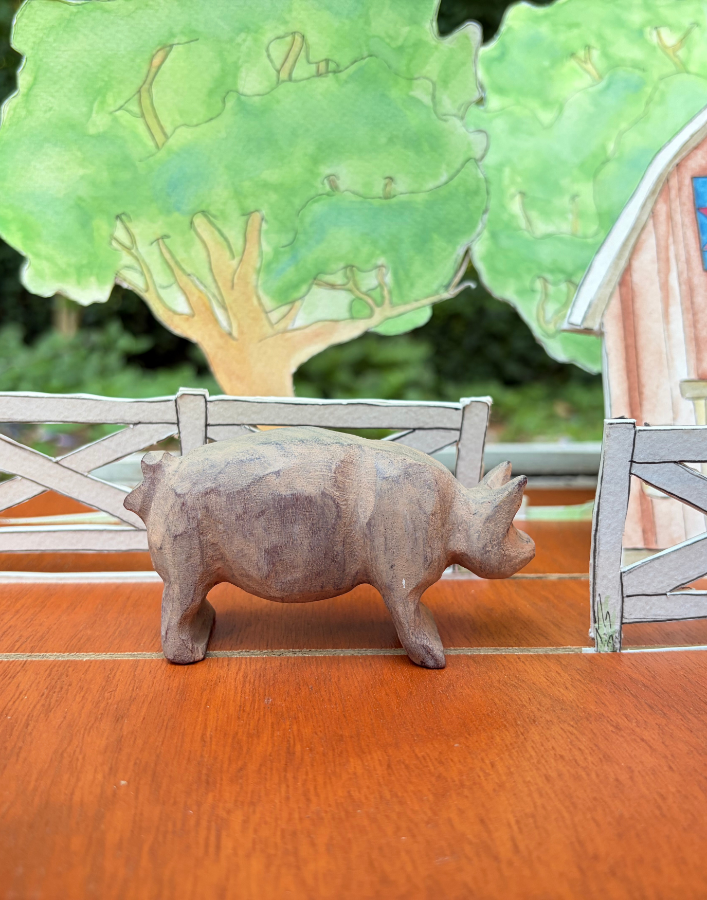 Landrace Pig