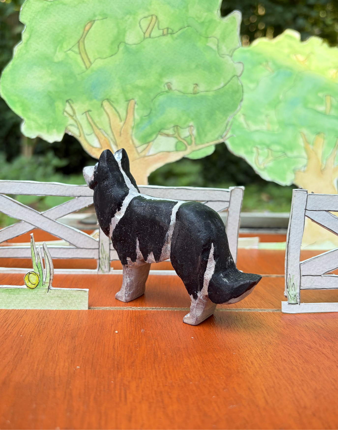 border collie back.png