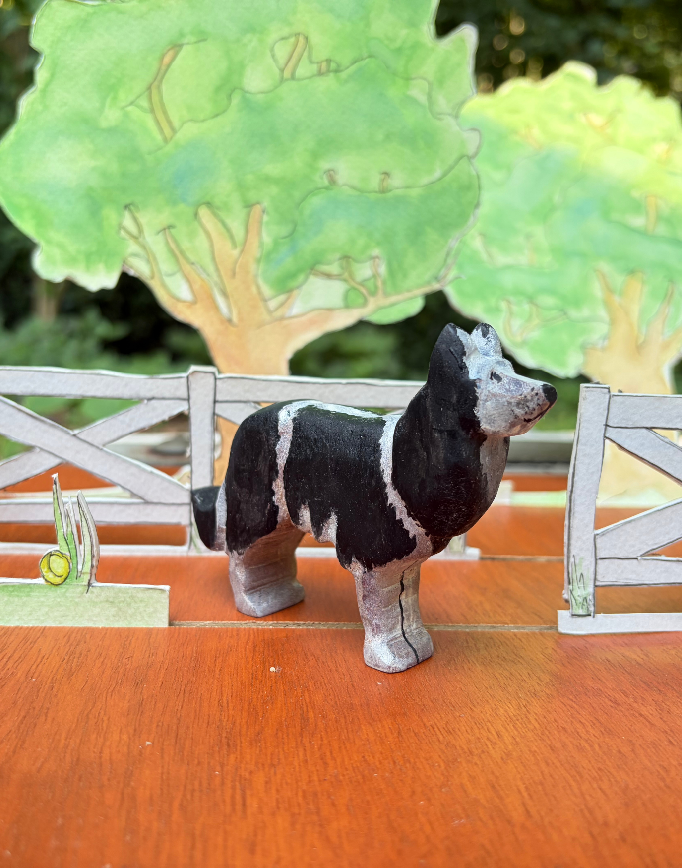 border collie 3_4.png