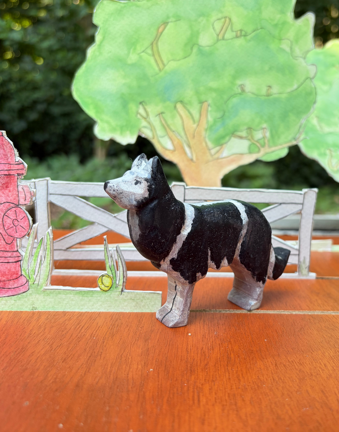 Border Collie