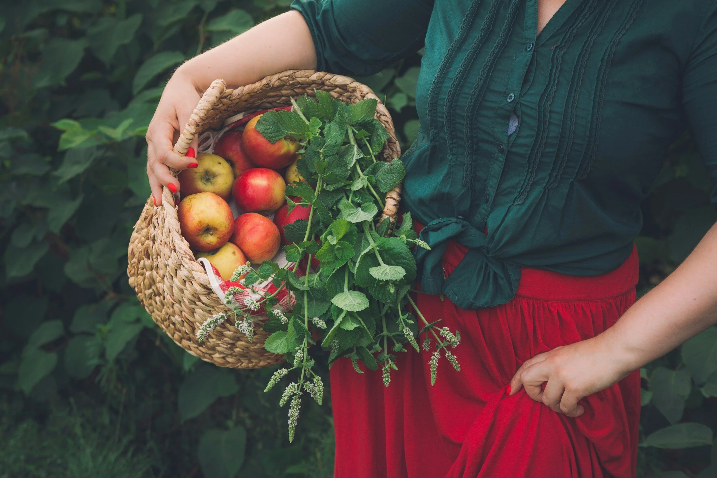 Pavos Produce | Harvest Bast | Contact Page