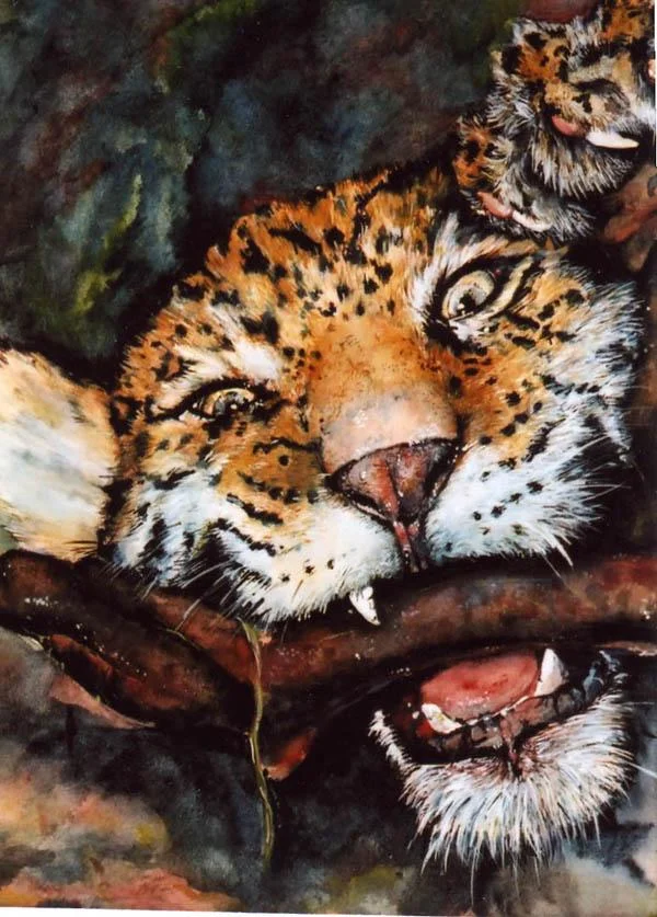 cub copy.png