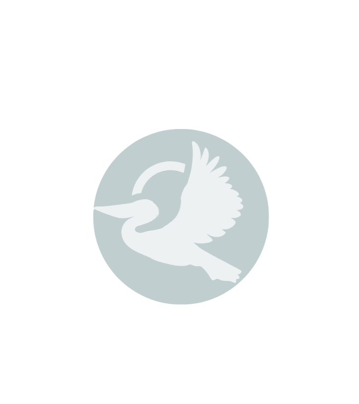 Logo for Pelican Log, featuring a stylized pelican with a wing raised, surrounded by concentric circles and stars, with the text 'PELican LOG' at the top and 'BUILT FOR THE OUTDOORS' at the bottom.