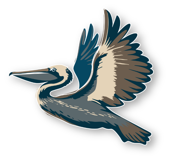 Illustration of a flying bird with long beak, large wings, and detailed feathers