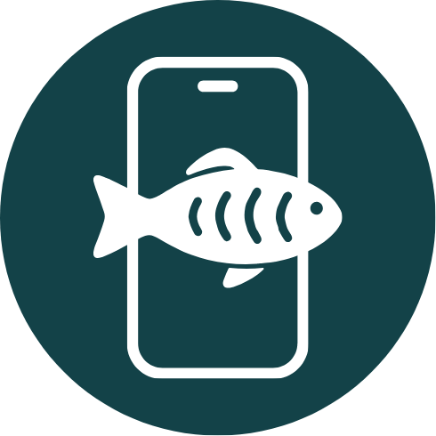 Icon of a fish in front of a smartphone screen, symbolizing mobile fishing or digital fishing log or app.