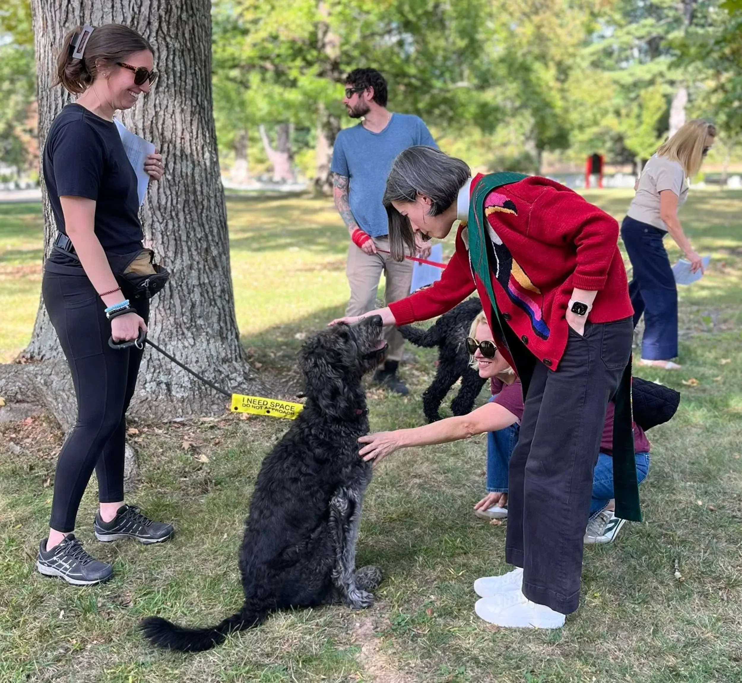 Blessing of the Animals