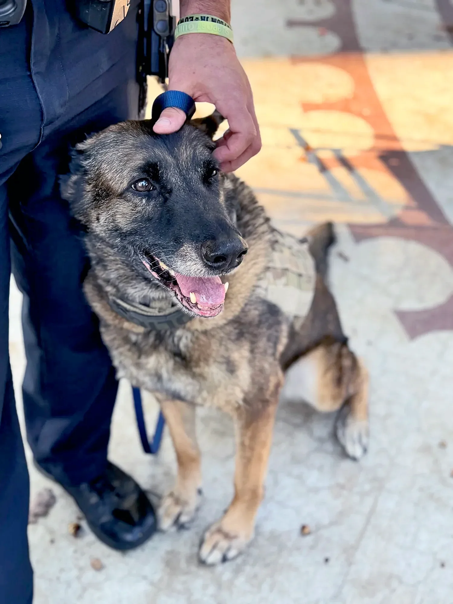 K-9 with the Animal Ministry at St. Thomas’ Church Whitemarsh.