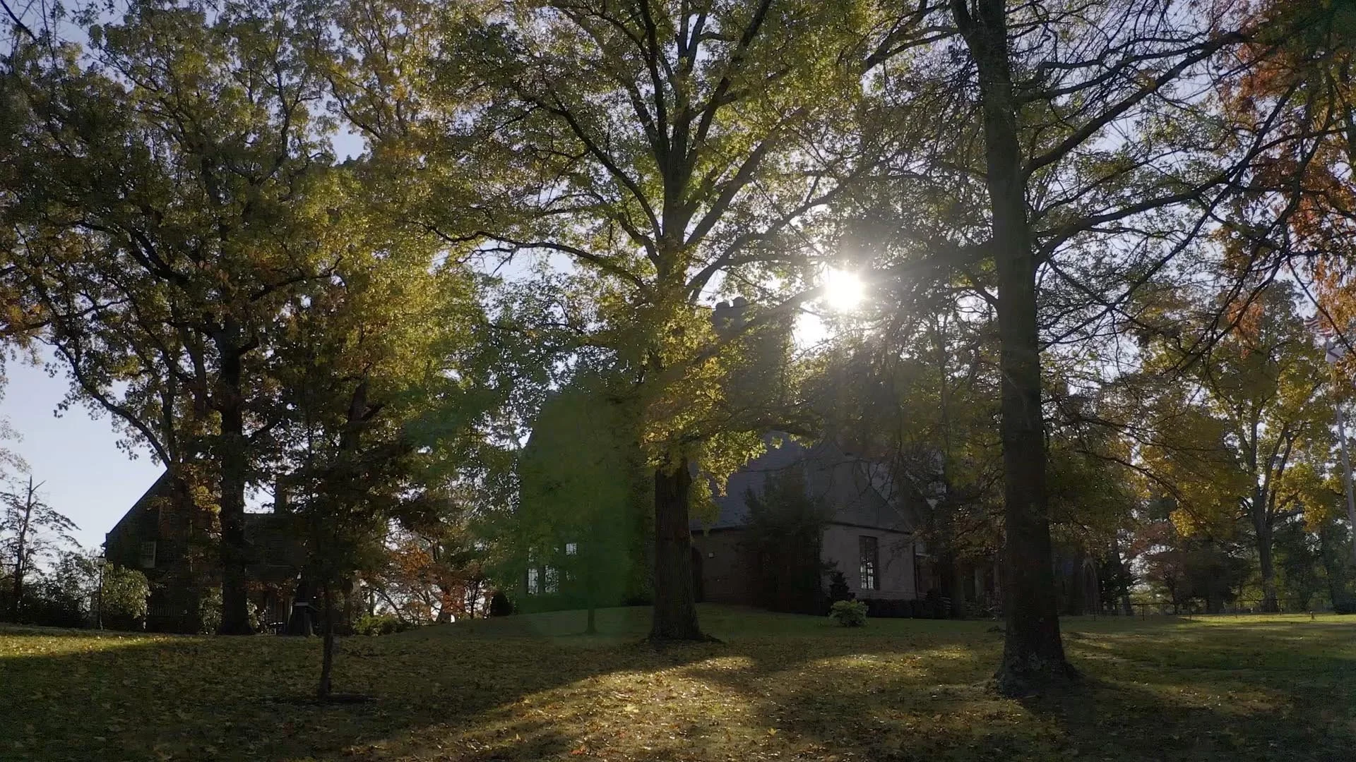 saint-thomas-whitemarsh-homepage-hero-video-placeholder.jpg