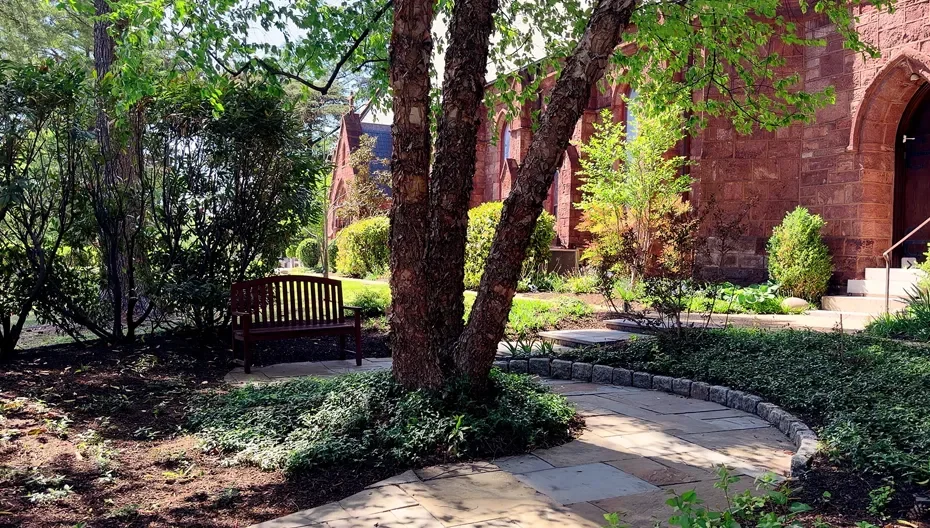Shady bench under a tree in the Peace Garden at St. Thomas’ Church Whitemarsh.