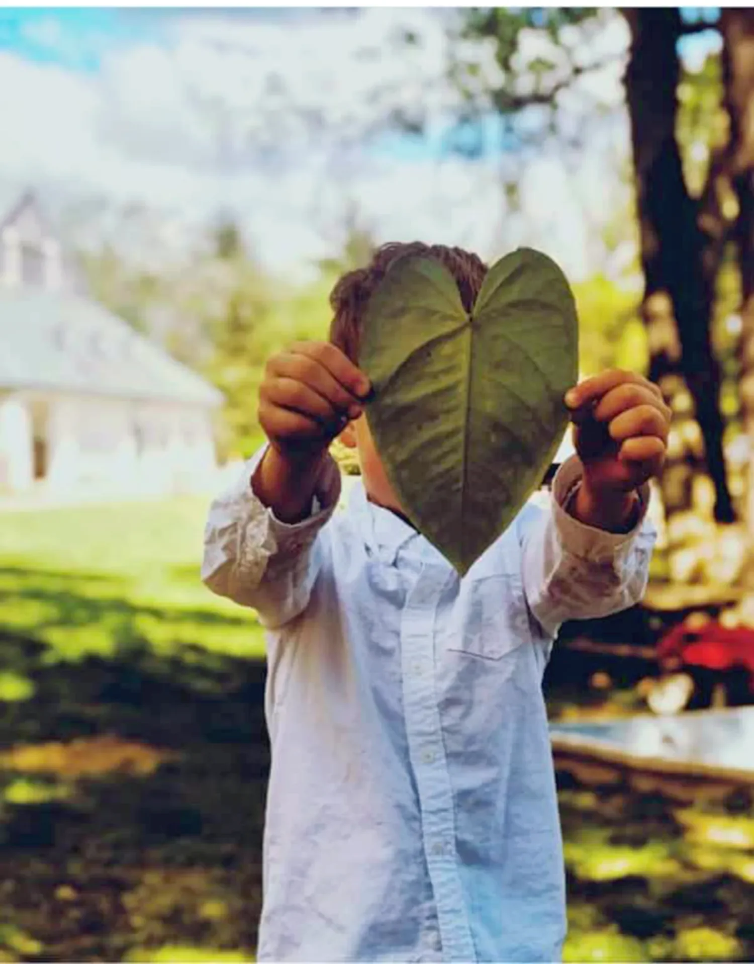 A boy standing outside holding a large heart-shaped green leaf in front of his face at St. Thomas’  Preschool.