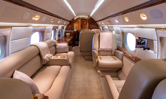 Carpet Treatment service provided in Dallas Lovefield, Dallas TX