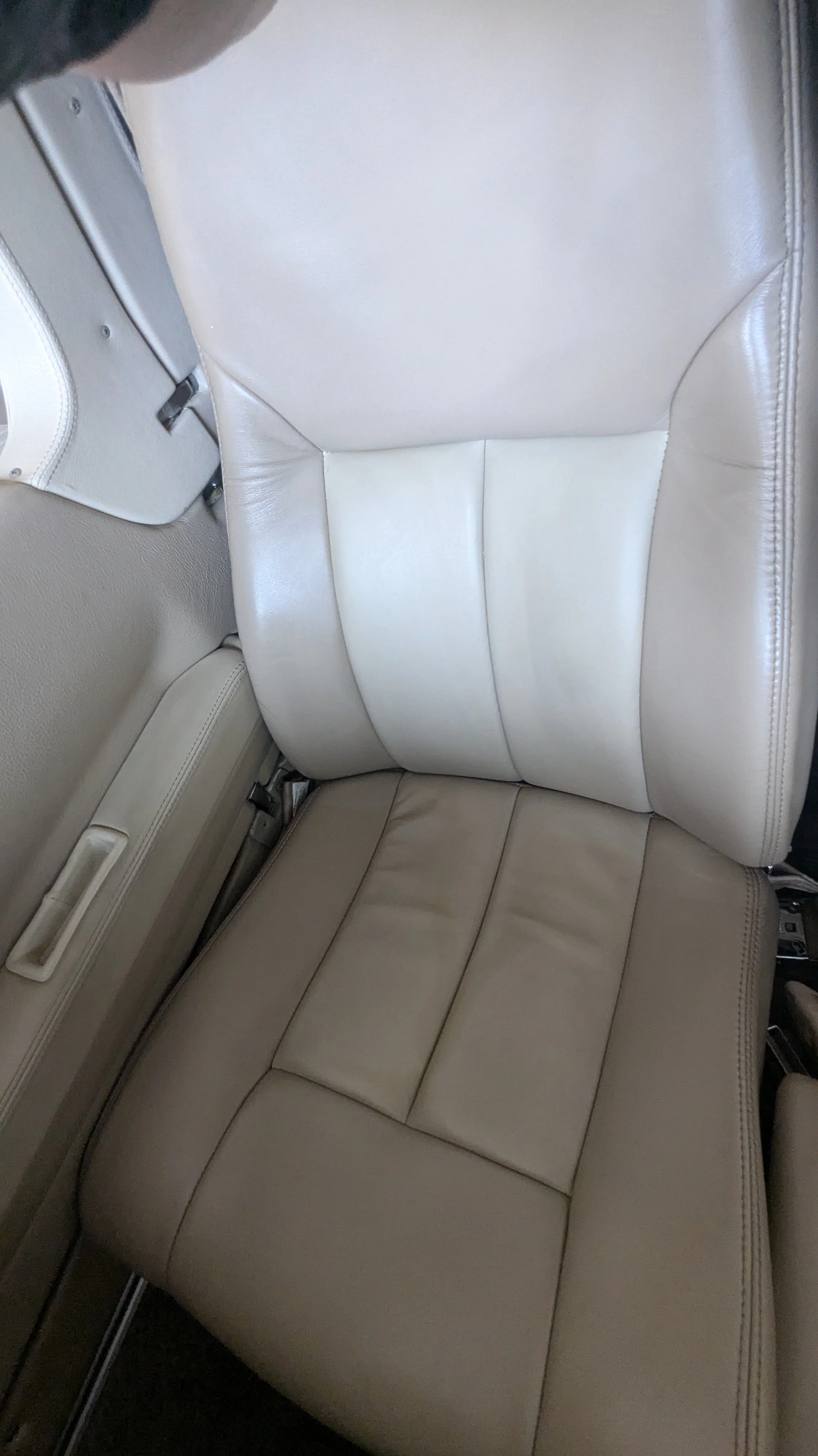 Aircraft interior detailing with leather seat cleaning and conditioning for a private jet in the Dallas–Fort Worth area.