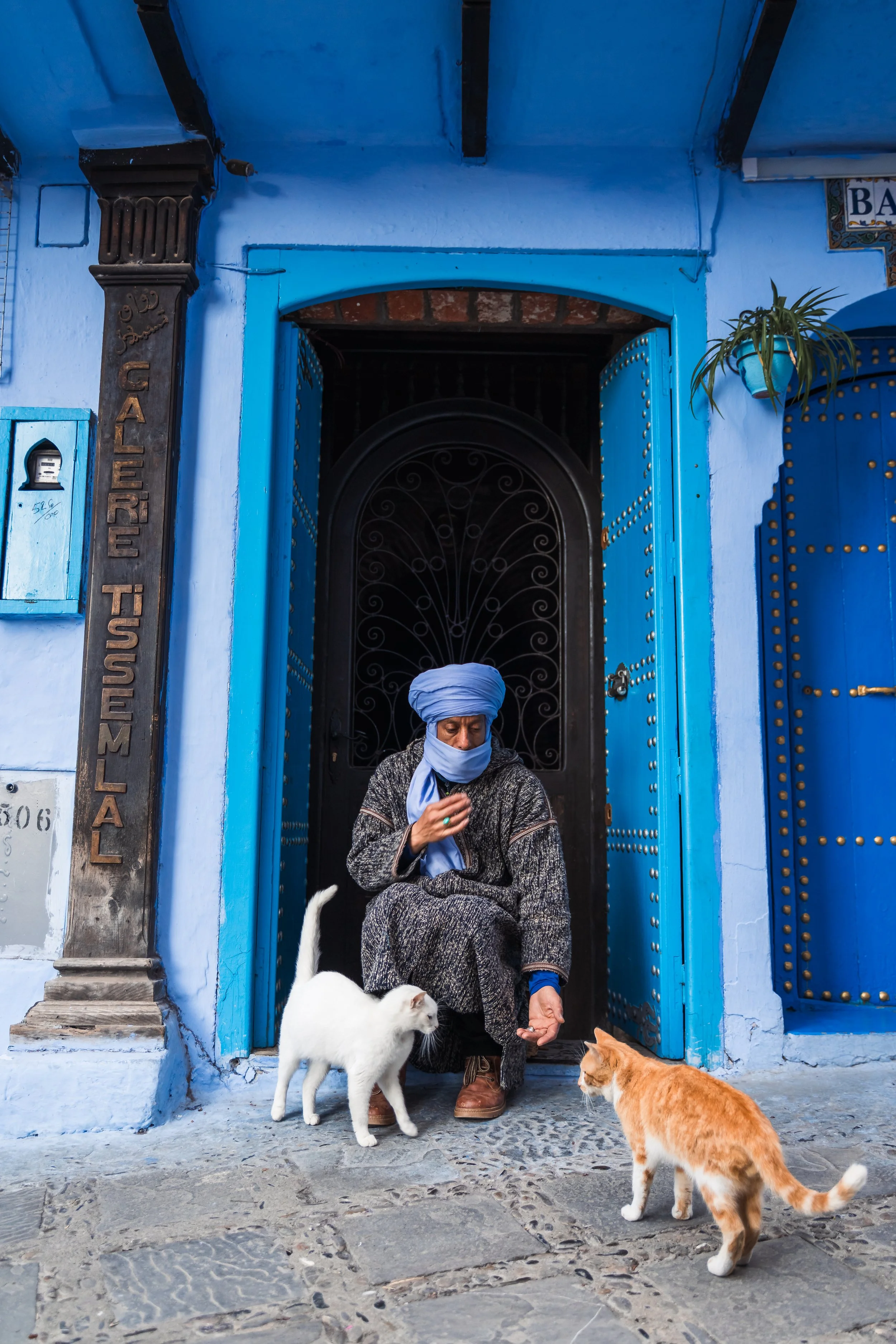 A person sitting on the steps in front of a blue door, wearing a gray turban and patterned clothing, is surrounded by two cats, one white and one orange and white. The person is feeding the cats, with the white cat looking up at their hand.