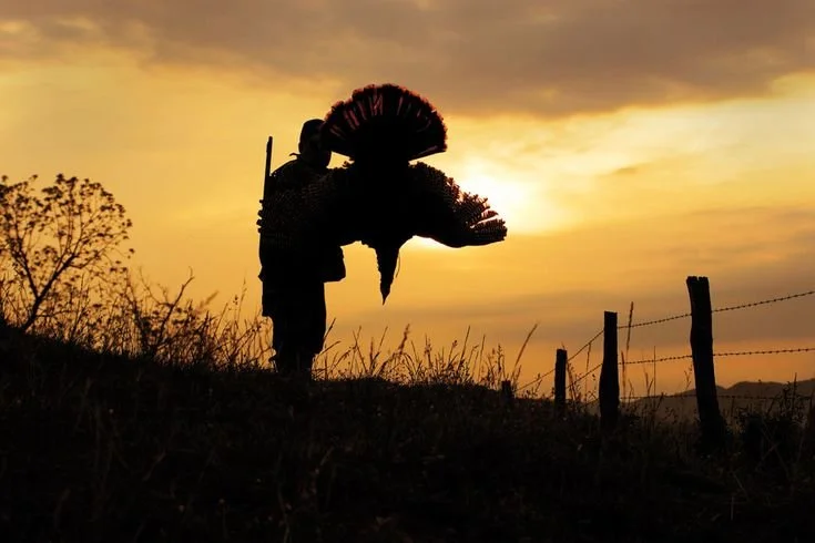 Hunter holding harvested turkey at sunset during a guided turkey hunt in Kansas or Missouri.