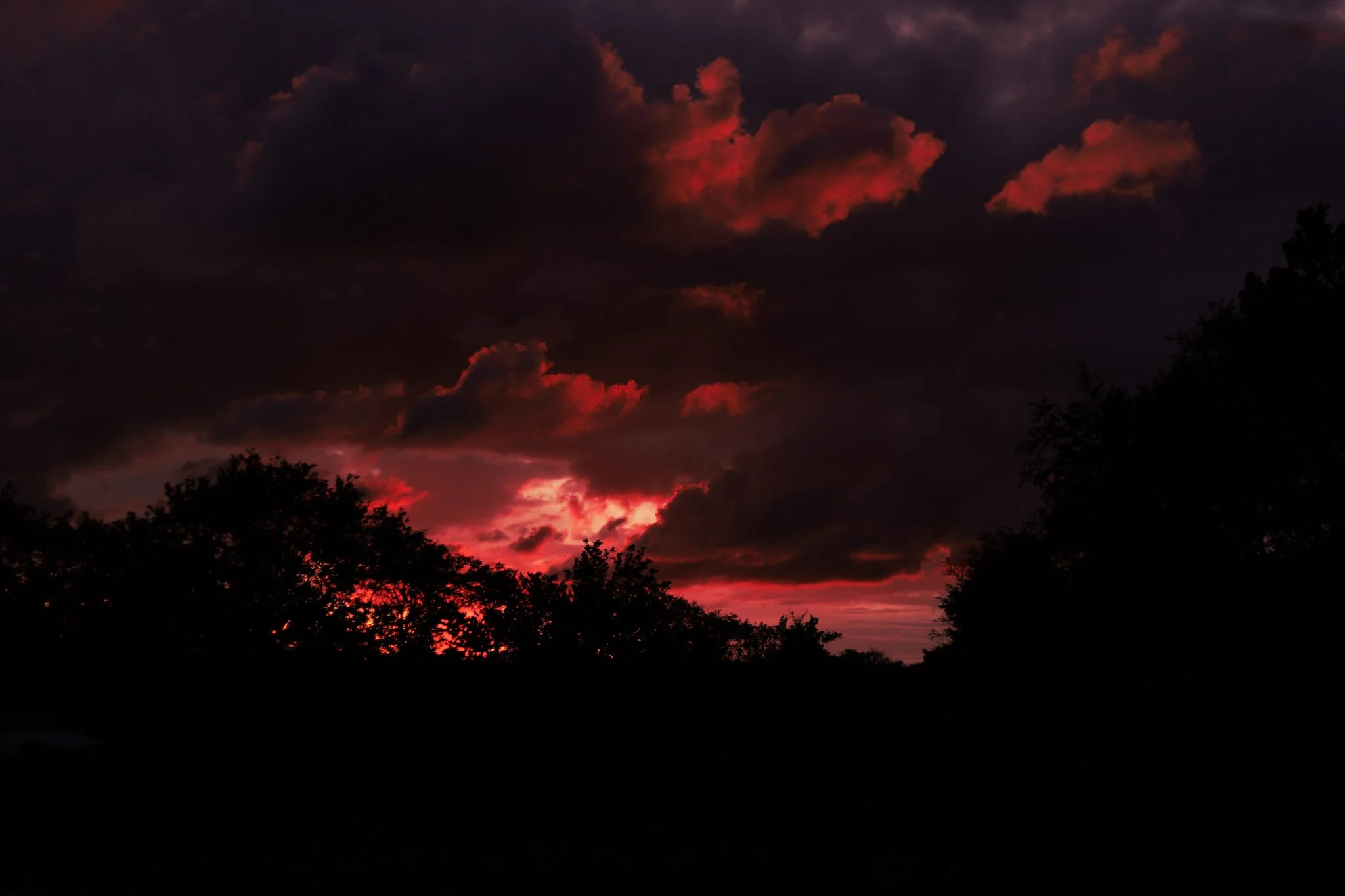 1-IMG_5351.jpg
