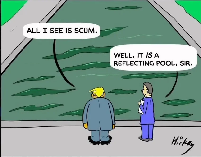 Cartoon of a man and a woman standing by a swimming pool. The man says, 'All I see is scum.' The woman responds, 'Well, it is a reflecting pool, sir.'