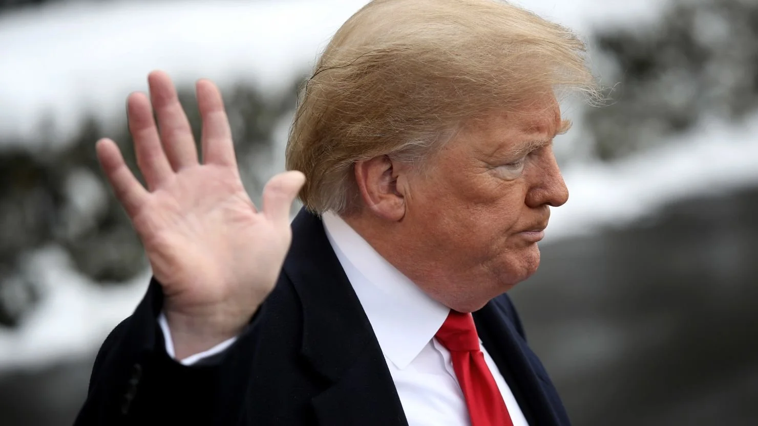 Profile of Donald Trump with his right hand raised, palm facing outward, against a blurred background.