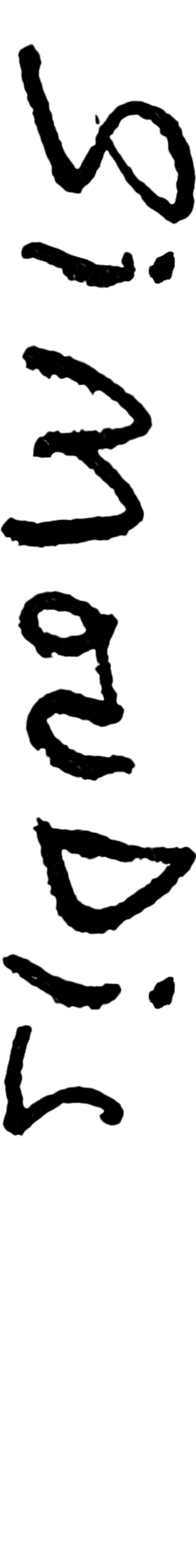 Signature Logo