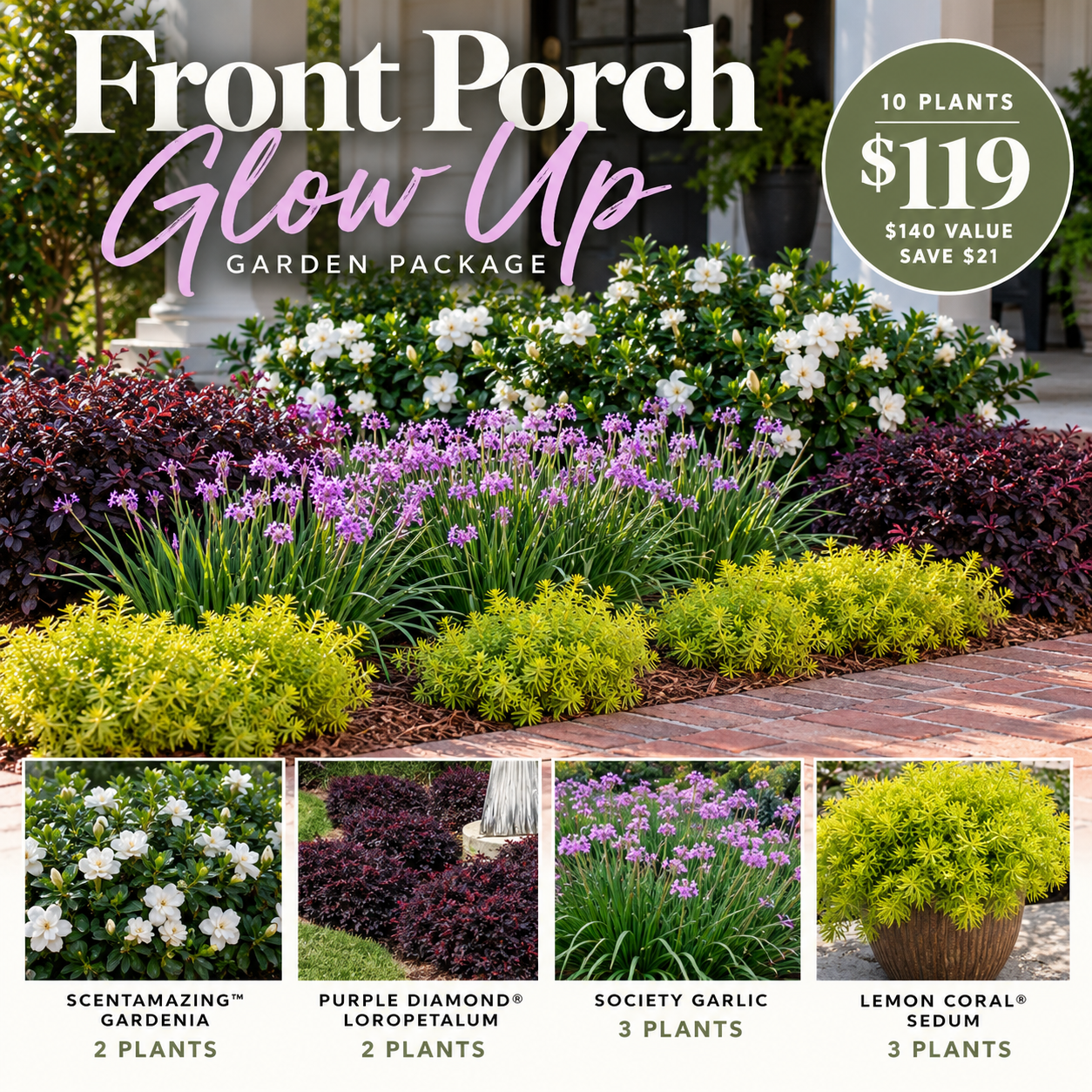 Front Porch Glow Up