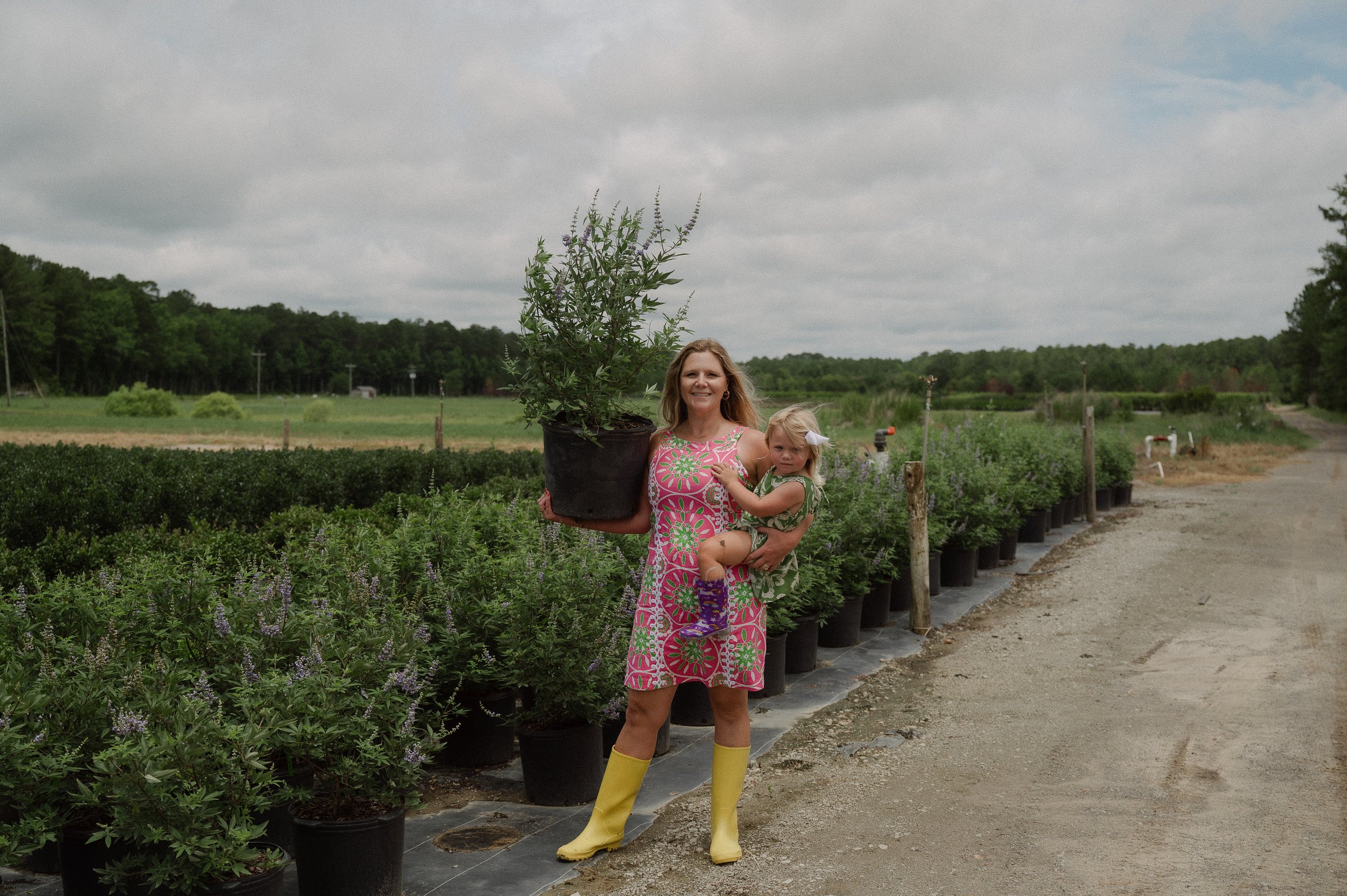 The Chaste Tree: The Tree That Made Me Fall in Love with Southern Summers