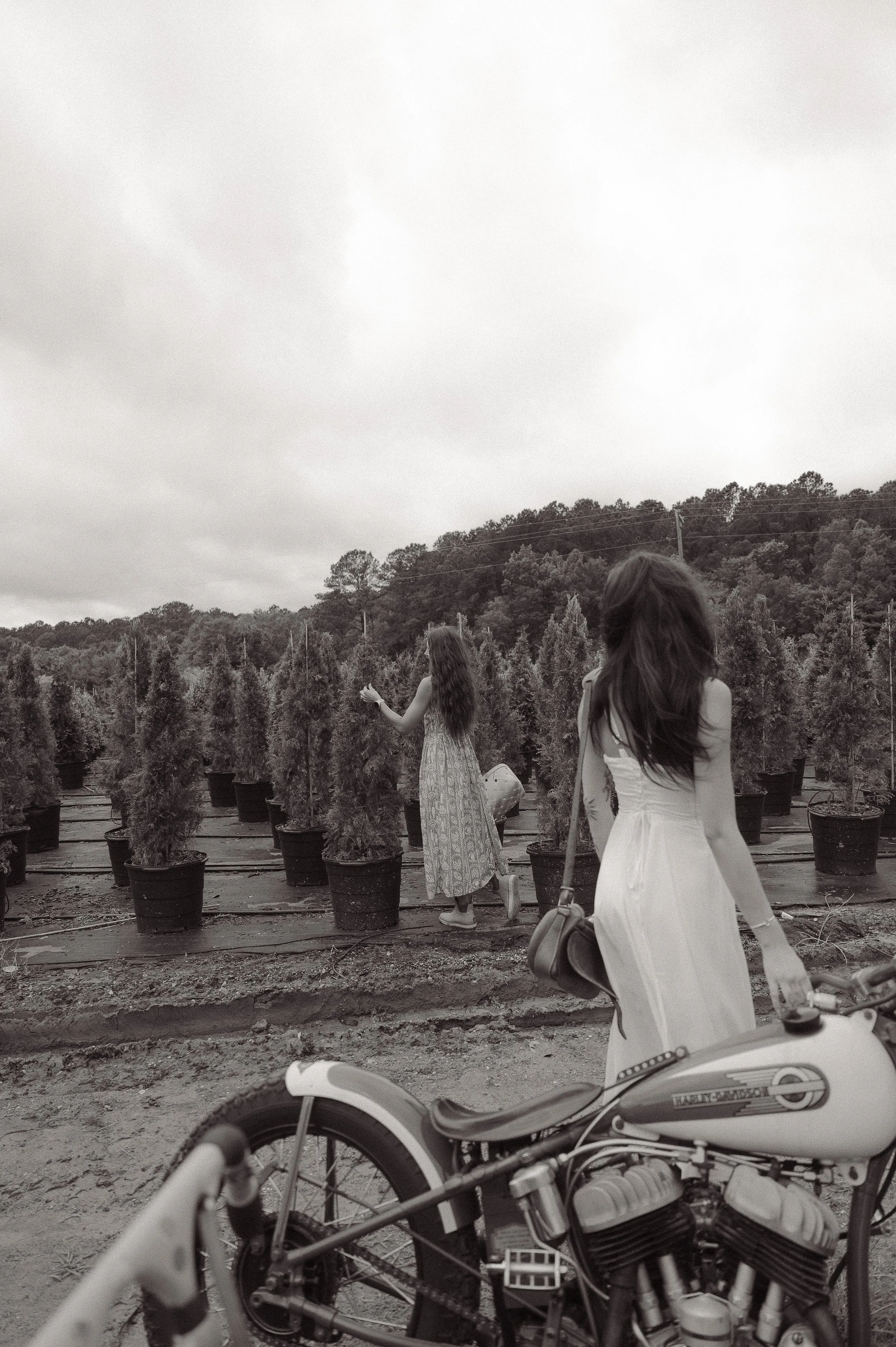 Two women in dresses exploring a plant nursery with potted trees, with a hill covered in trees and power lines in the background, and a bicycle in the foreground.