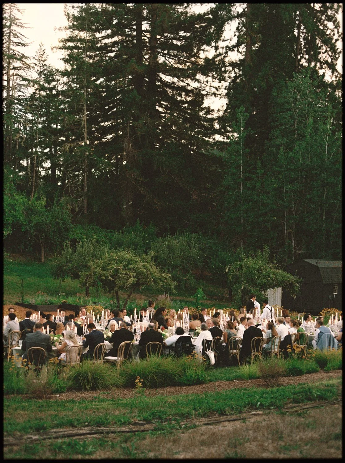 An outdoor banquet dinner in a garden with many people seated at tables, candle decorations, and surrounded by tall trees.