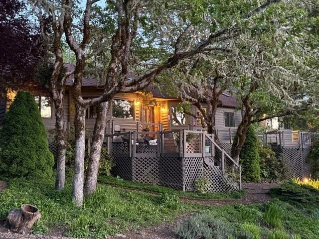 front yard.jpg