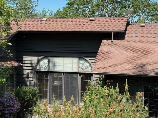 backyard from above.jpg