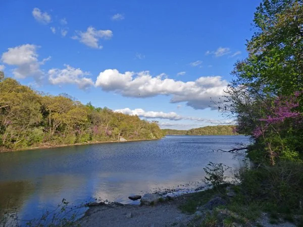 A calm lake surrounded by trees with green and pink leaves, under a blue sky with white clouds.