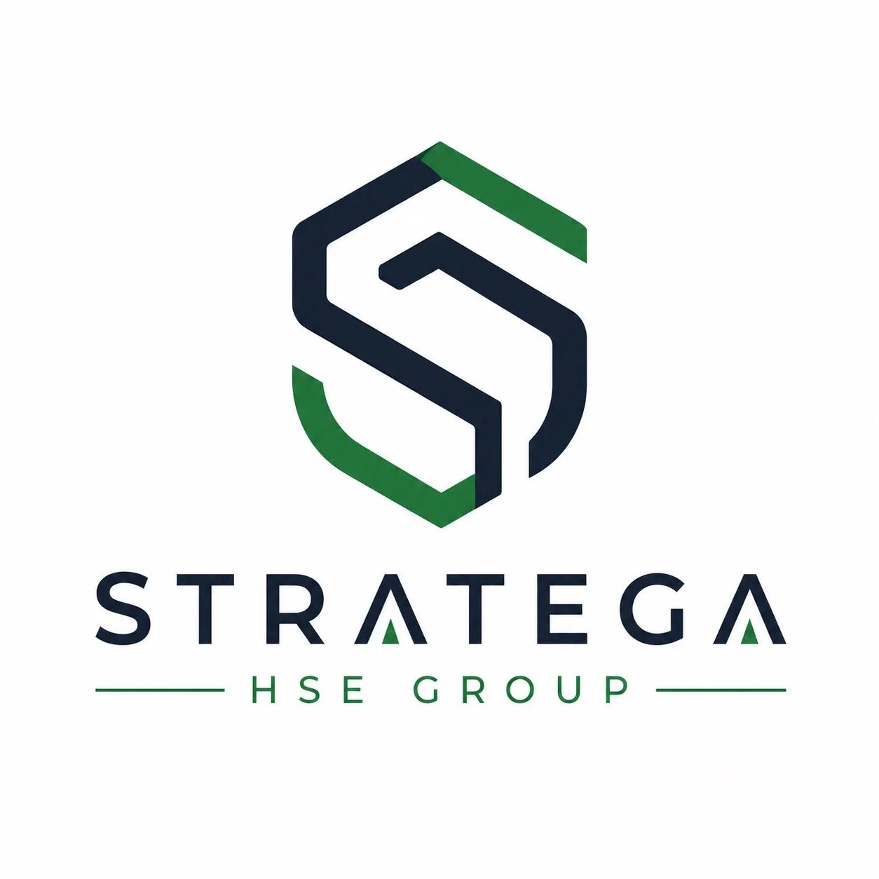 STRATEGA HSE GROUP